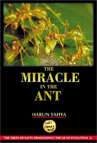 The Miracle in the Ant