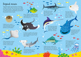 Animals of the World Book and Jigsaw