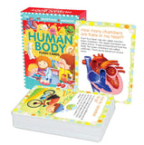 99 Questions and Answers Human Body Flash Cards