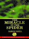 The Miracle in the Spider