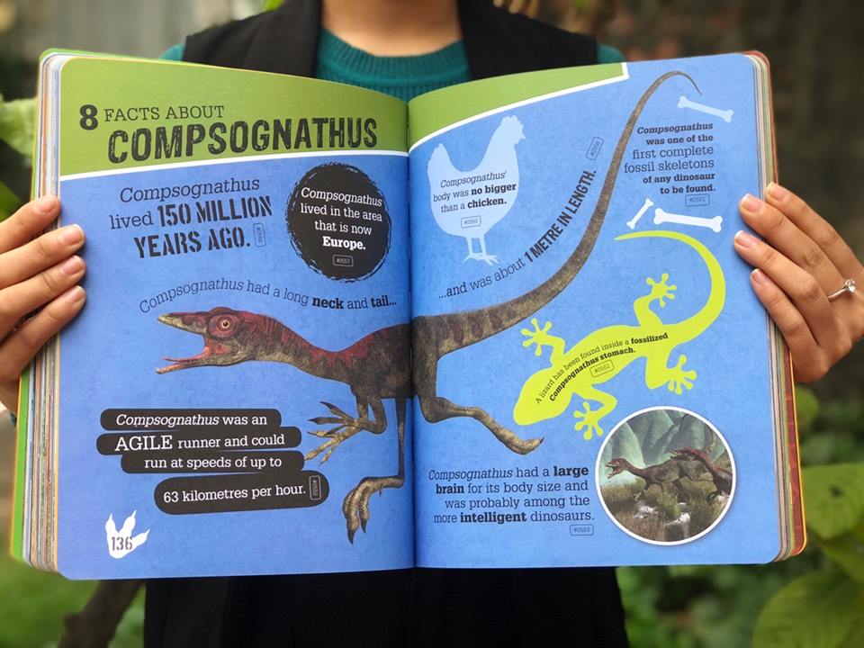 1000 Incredible But True Facts About Dinosaurs 6-9 years BookyNotes 