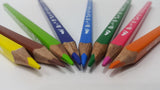 ALWAN 48 Coloured Pencil Coloring & Activity BookyNotes 