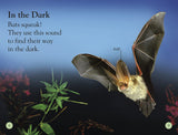 All About Bats