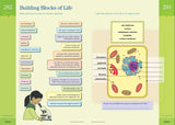 Brain Quest WorkBook Grade 6 9-12 years BookyNotes 