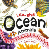 Life-Size Ocean ( Actual Size )