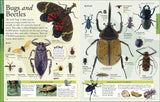 The New Children's Encyclopedia - Packed with Thousands of Facts, Stats, and Illustrations