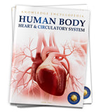 Human Body Heart & Circulatory System ( Knowldge Encyclopedia )
