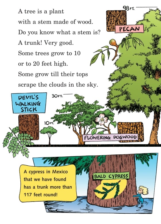 I Can Name 50 Trees Today : All about Trees (Cat in the Hat's Learning Library) 0-5 years BookyNotes 