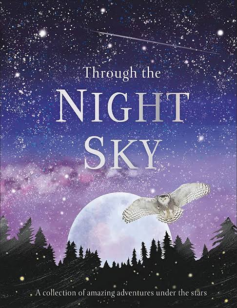 Through the Night Sky: A collection of amazing adventures under the stars (Journey Through)