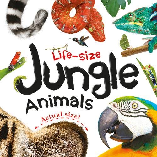 Life Size Jungle Animals ( Actual size )