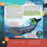Secrets of the Oceans- Wow Encyclopedia in Augmented Reality 6-9 years BookyNotes 